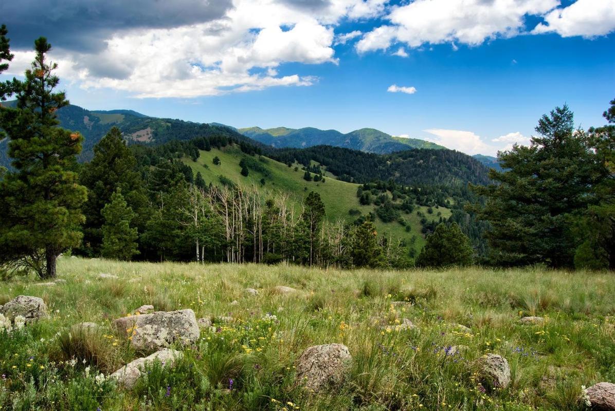 Alpine Cabin, 3 Bedrooms, Deck, Sleeps 8 Ruidoso Eksteriør bilde